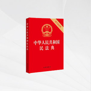刑事辩护实务操作技能与执业风险防范2